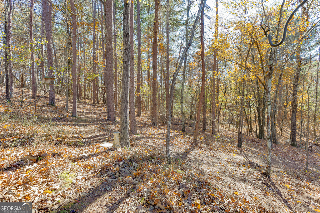 6360 Nix Road Dawsonville GA 30534