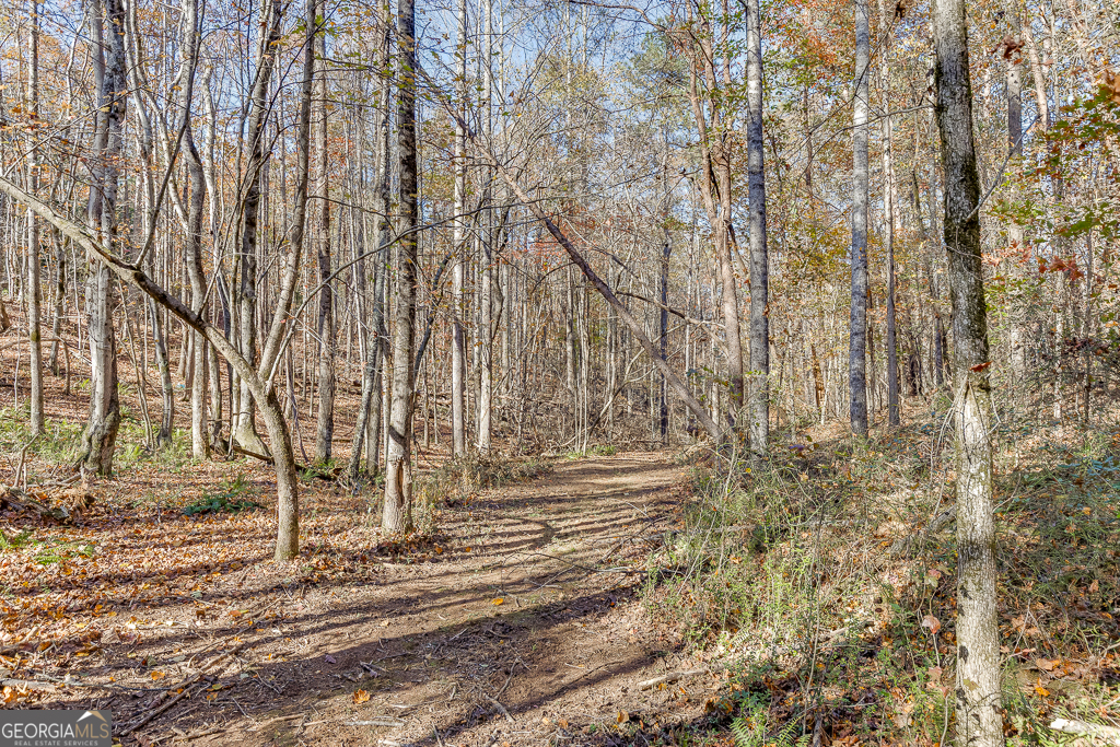 6360 Nix Road Dawsonville GA 30534