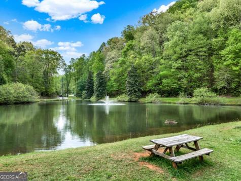 1100 Zenith Trail Ellijay GA 30540
