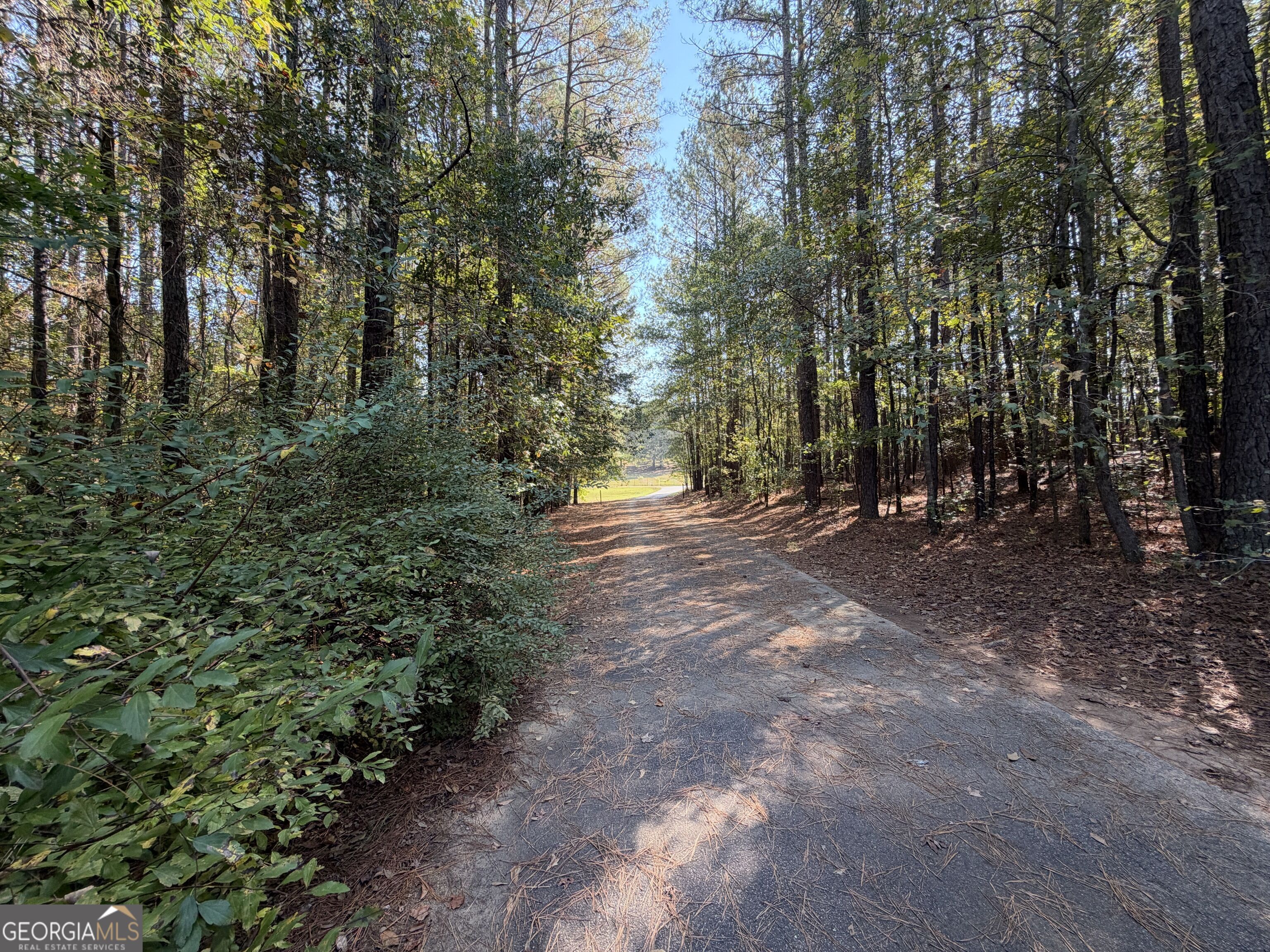 1215 Brush Creek Road Colbert GA 30628