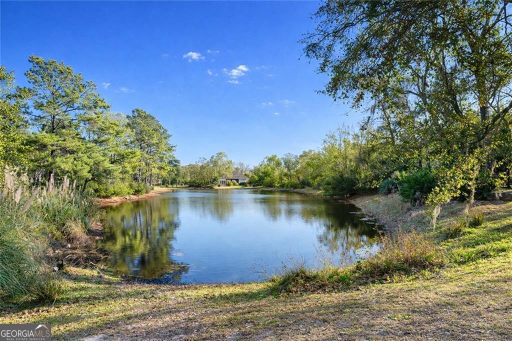 113 Serenoa Drive Brunswick GA 31523