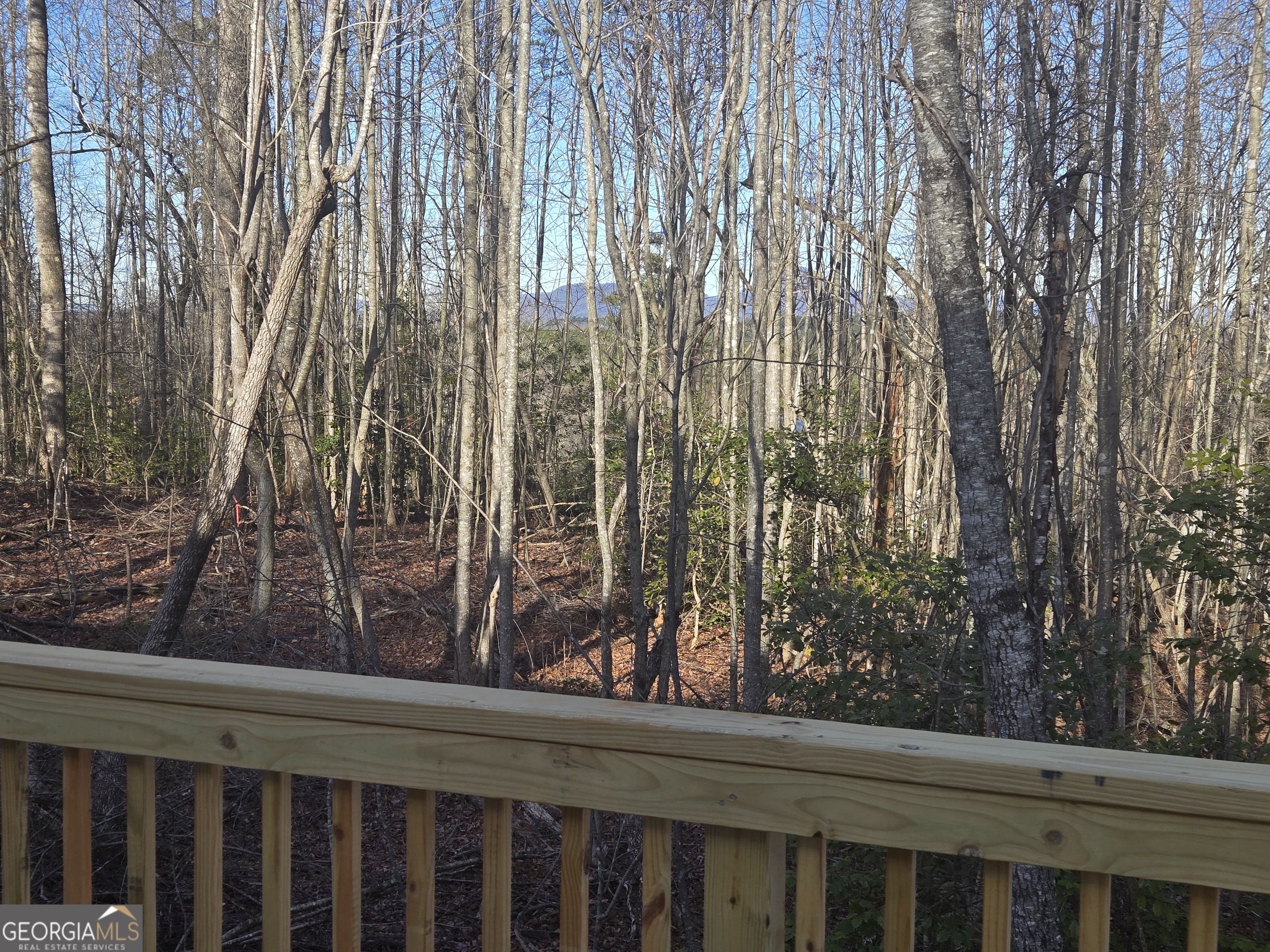 2994 Cannon Bridge Road Demorest GA 30535