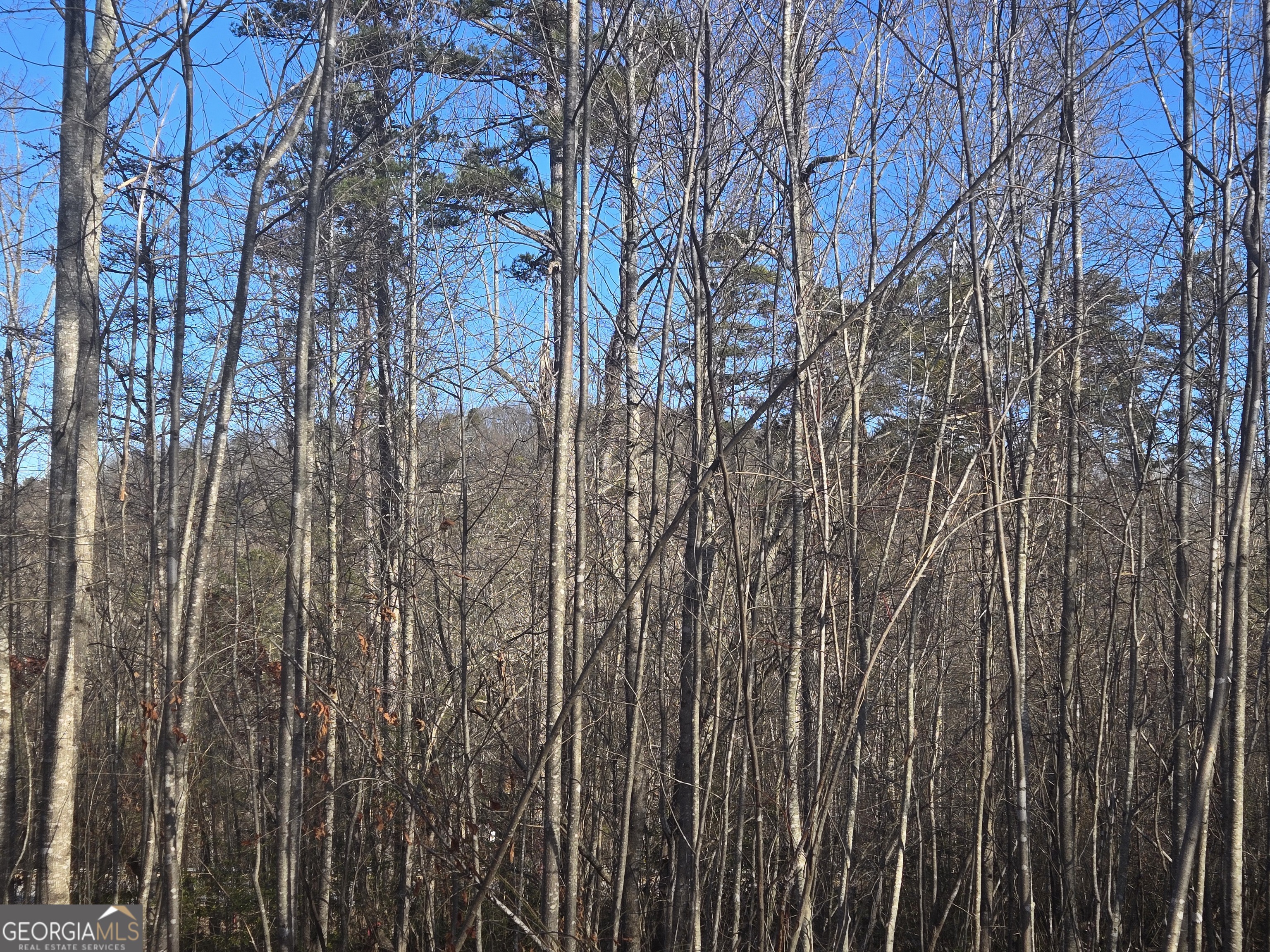 2994 Cannon Bridge Road Demorest GA 30535