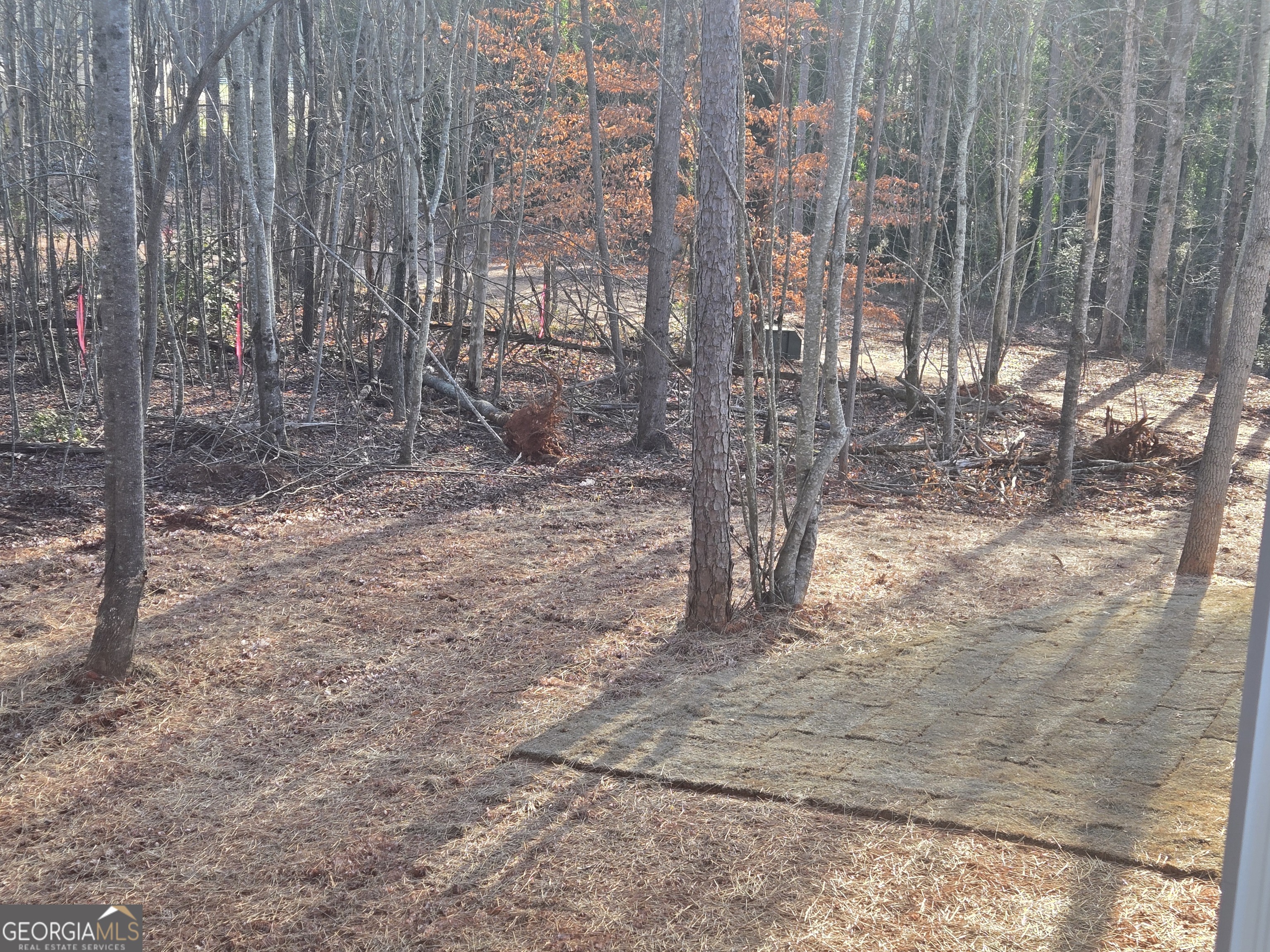 2994 Cannon Bridge Road Demorest GA 30535