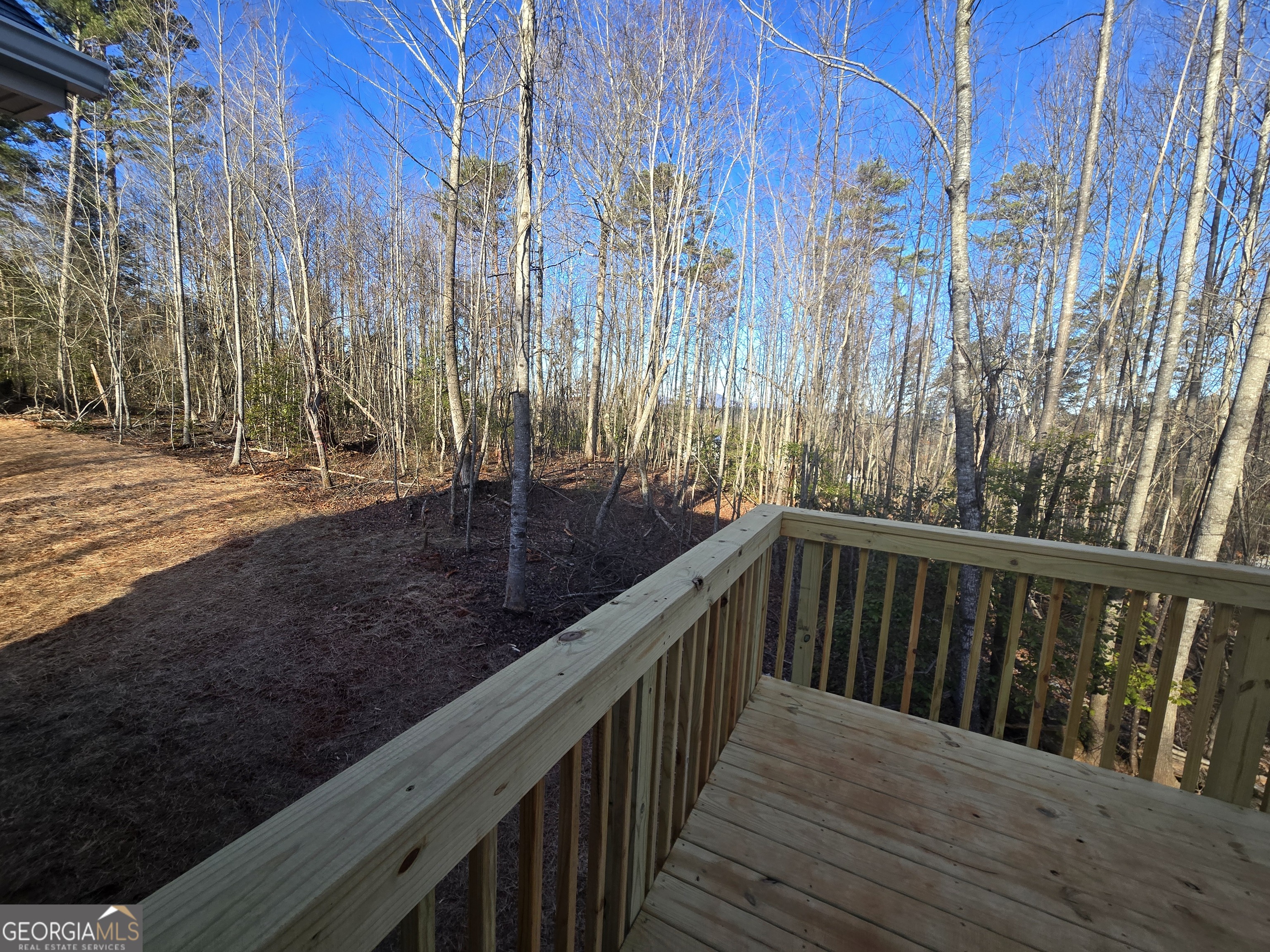 2994 Cannon Bridge Road Demorest GA 30535