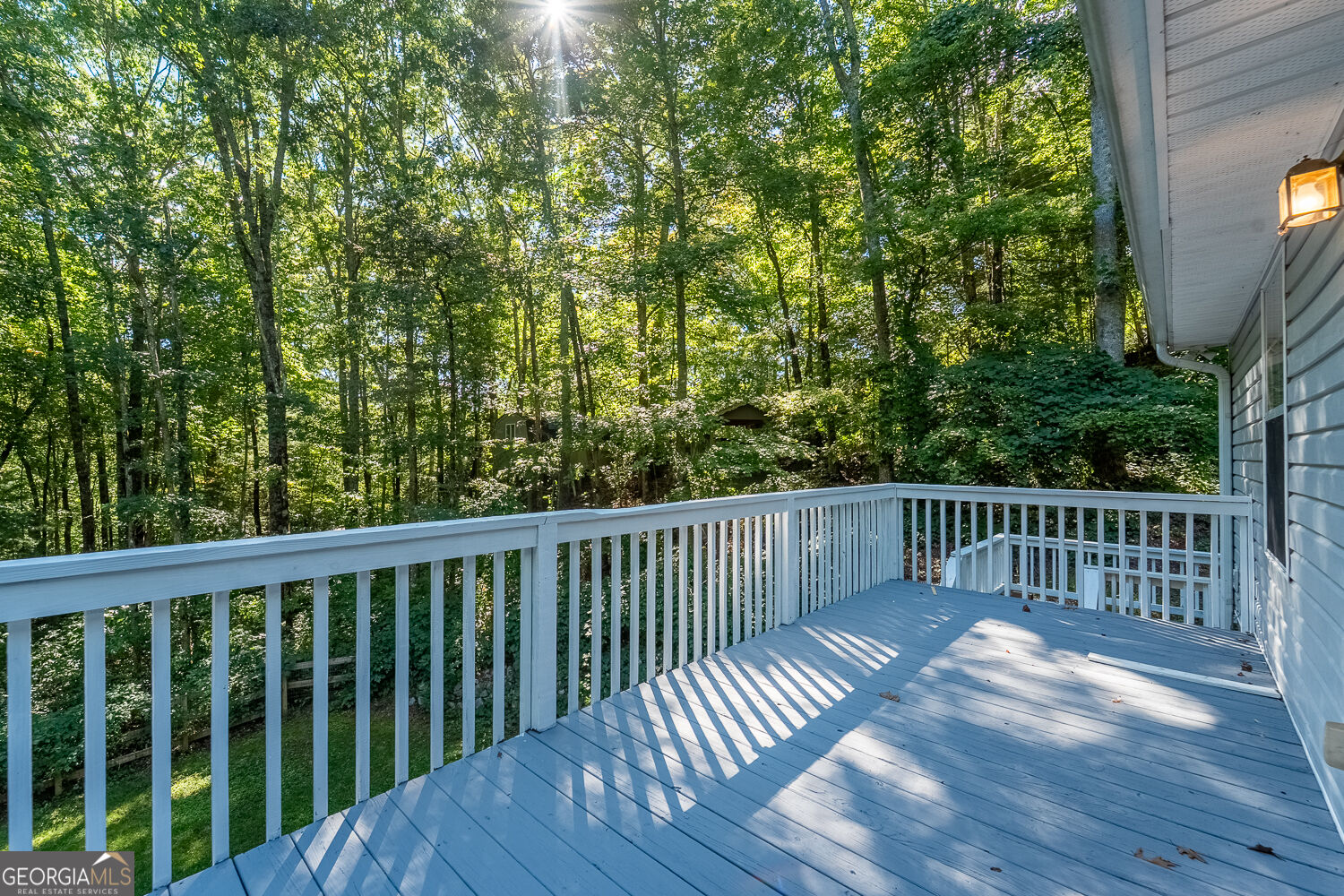 1460 Bald Mountain Road Dillard GA 30537