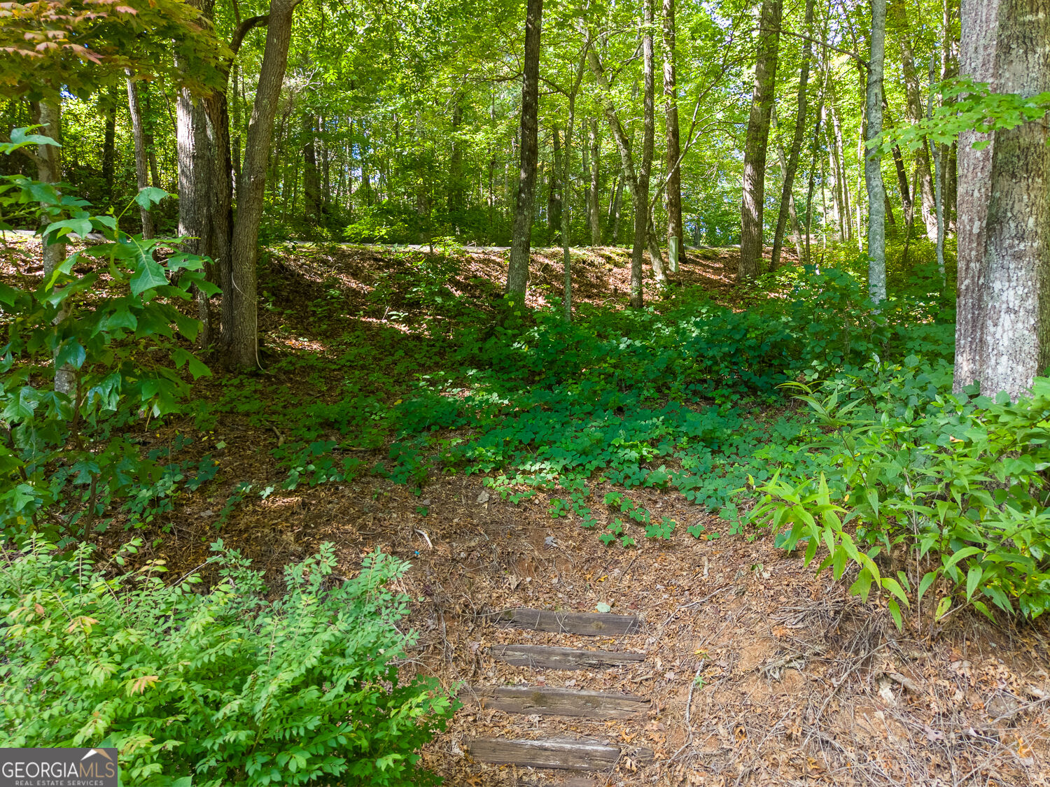 1460 Bald Mountain Road Dillard GA 30537