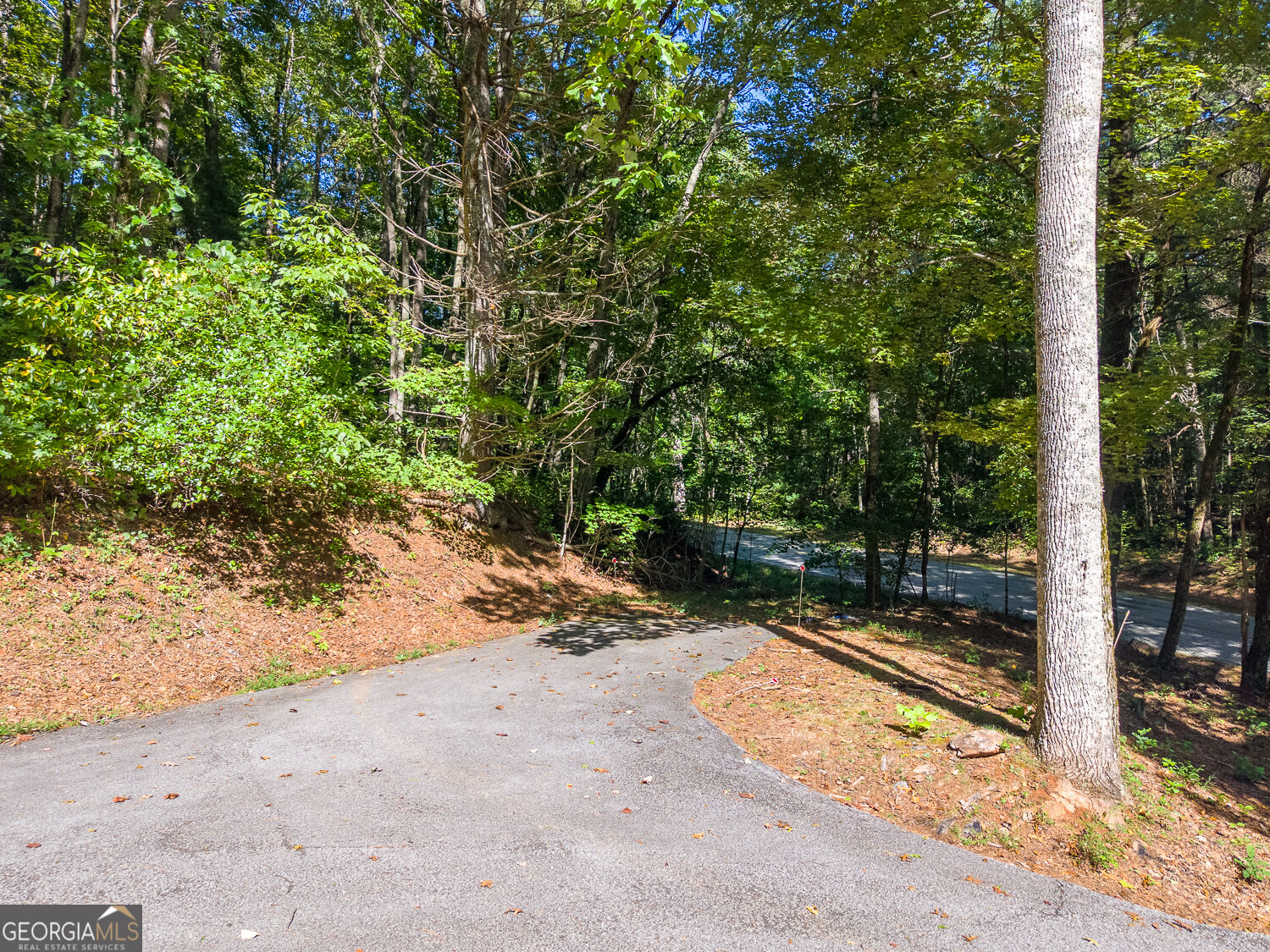 1460 Bald Mountain Road Dillard GA 30537