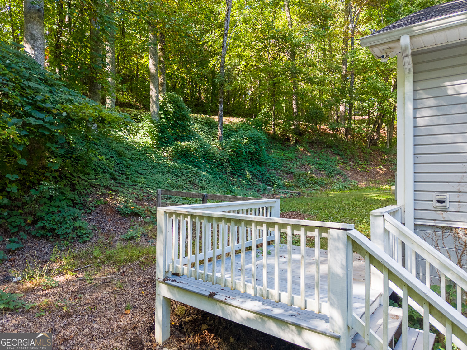 1460 Bald Mountain Road Dillard GA 30537