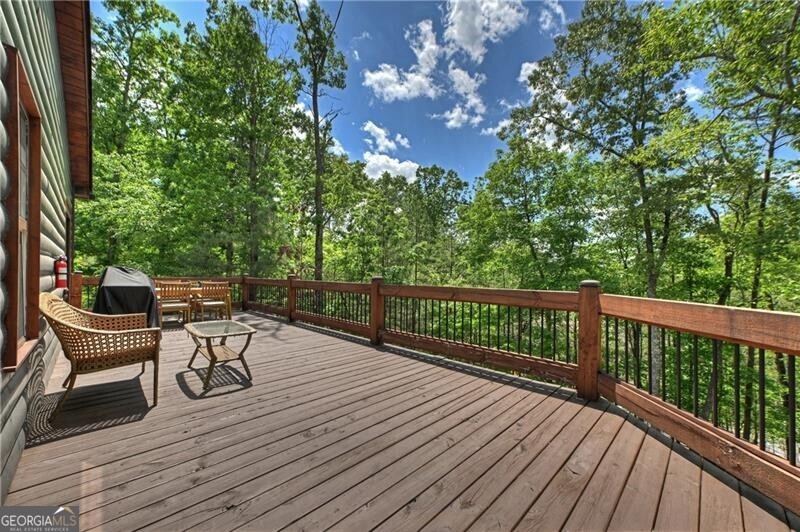 346 Logan Drive Mineral Bluff GA 30559