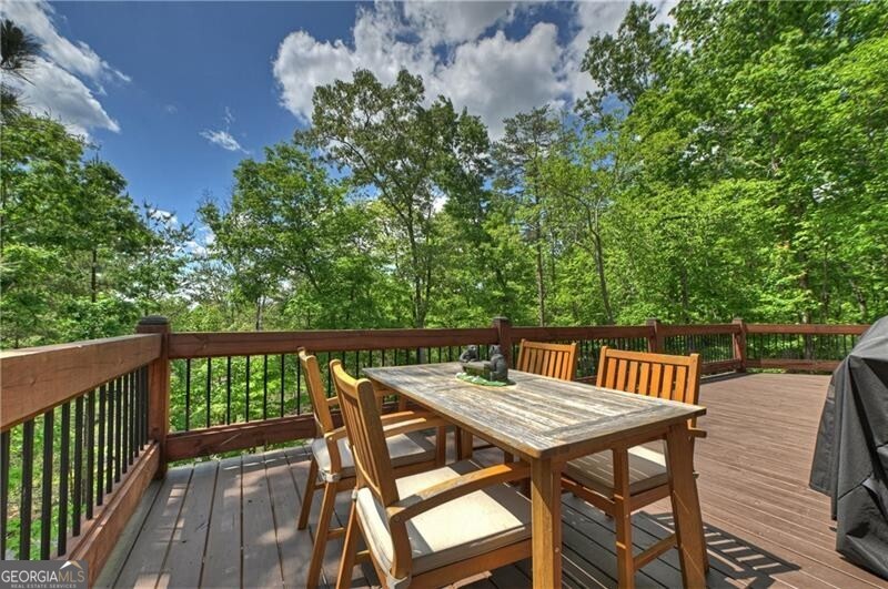 346 Logan Drive Mineral Bluff GA 30559