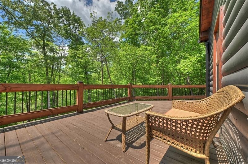 346 Logan Drive Mineral Bluff GA 30559