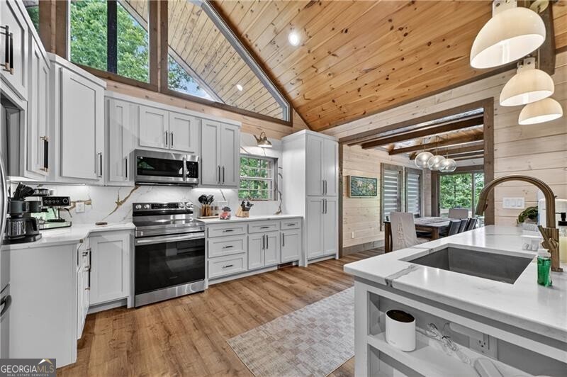 346 Logan Drive Mineral Bluff GA 30559