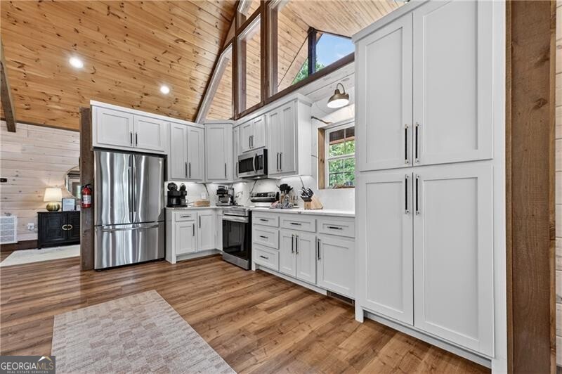 346 Logan Drive Mineral Bluff GA 30559