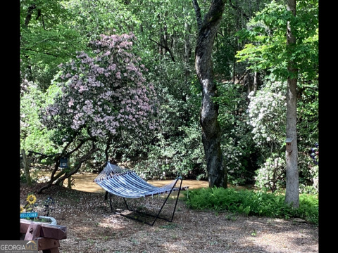308 Hemlock Trail Blue Ridge GA 30513