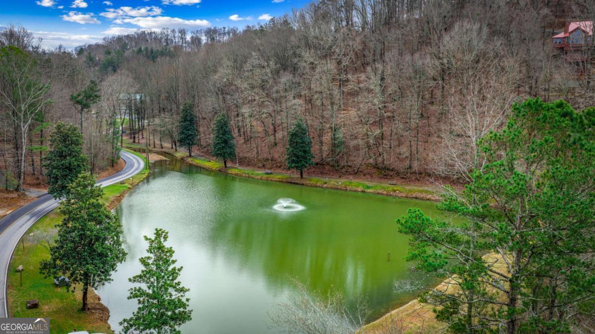 1503 Garnet Drive Ellijay GA 30540