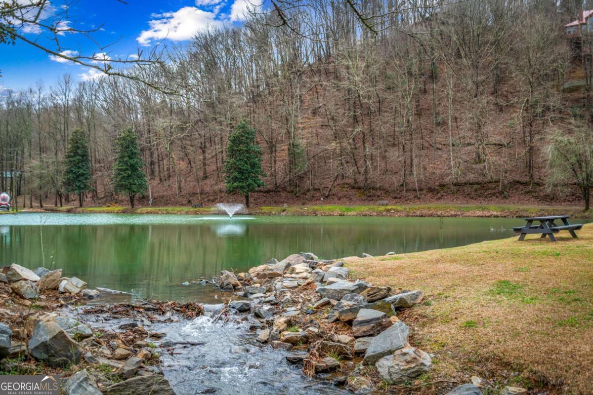 1503 Garnet Drive Ellijay GA 30540