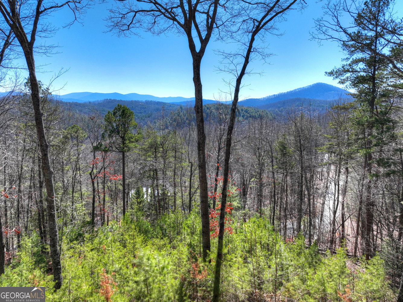 78 Brass Hill Road Blue Ridge GA 30513