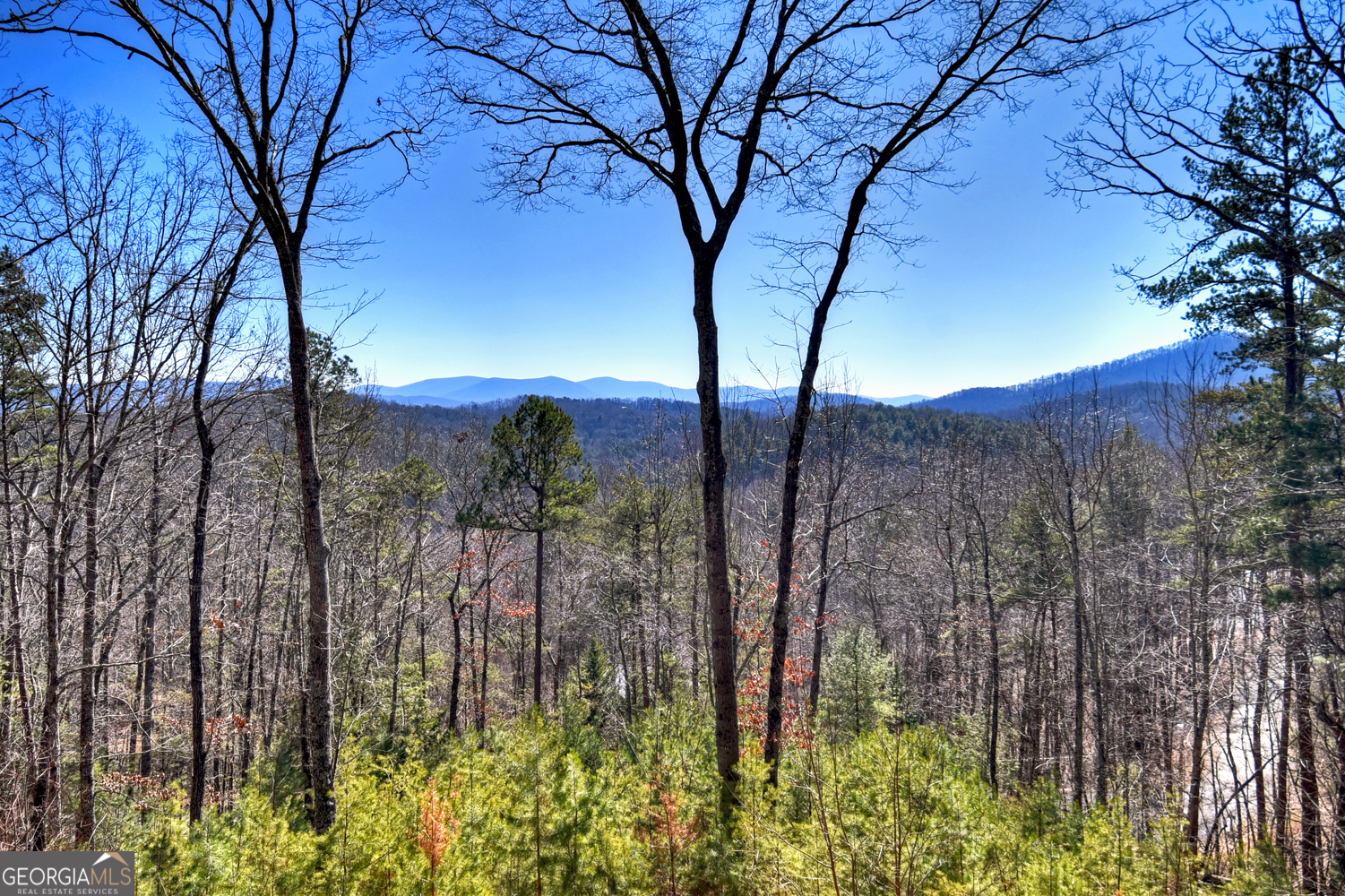 78 Brass Hill Road Blue Ridge GA 30513