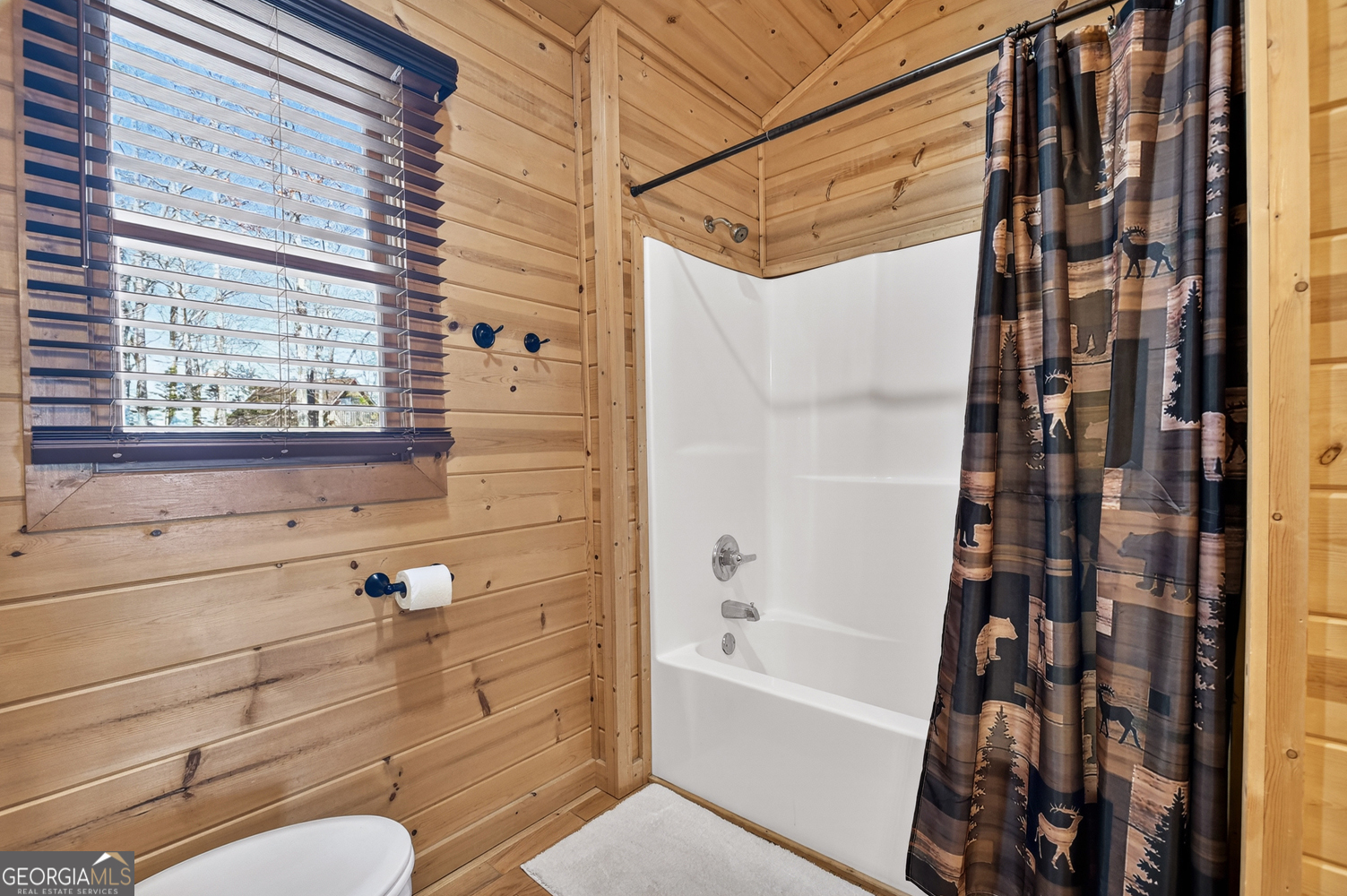 78 Brass Hill Road Blue Ridge GA 30513