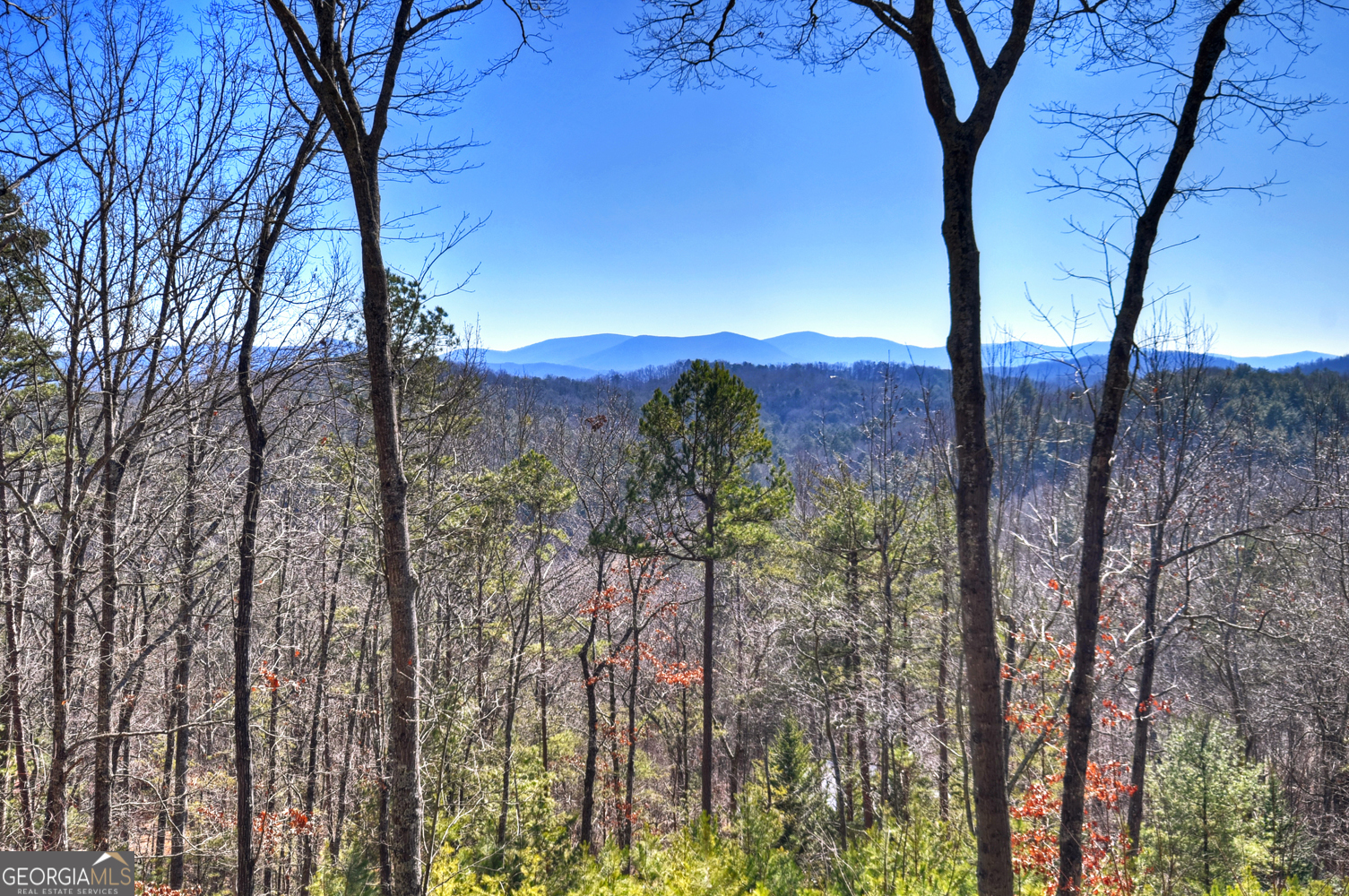 78 Brass Hill Road Blue Ridge GA 30513