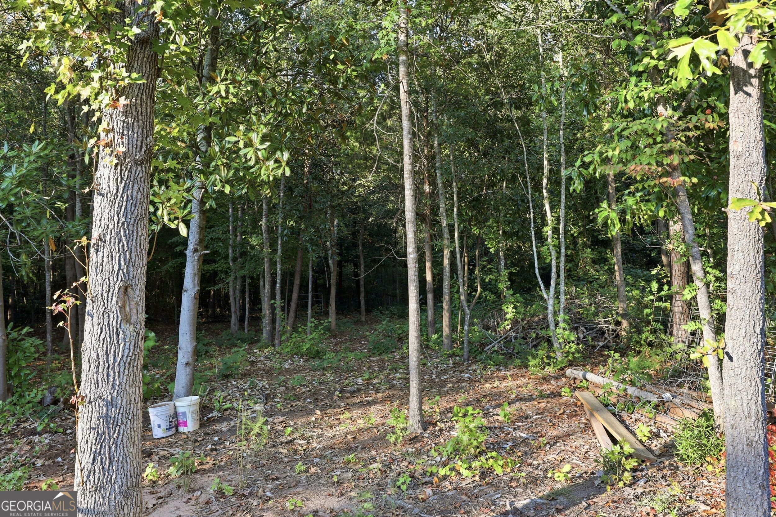 251 Quail Forest Circle Toccoa GA 30577