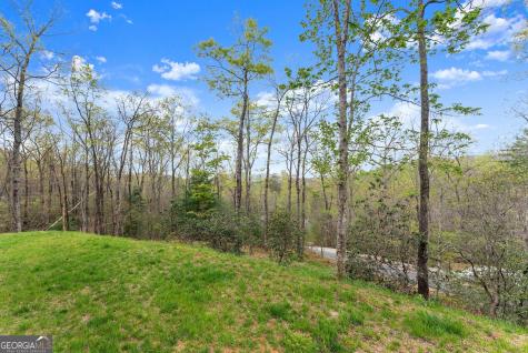 527 Abby Clayton GA 30525