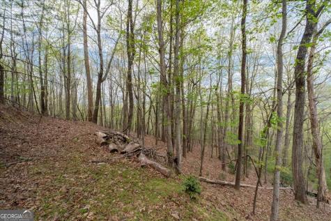 986 Mountain Oak Road Ellijay GA 30536