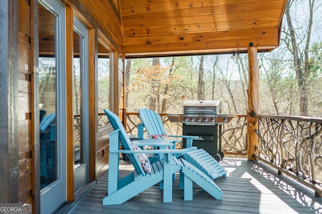 560 Endless View Road Mineral Bluff GA 30559