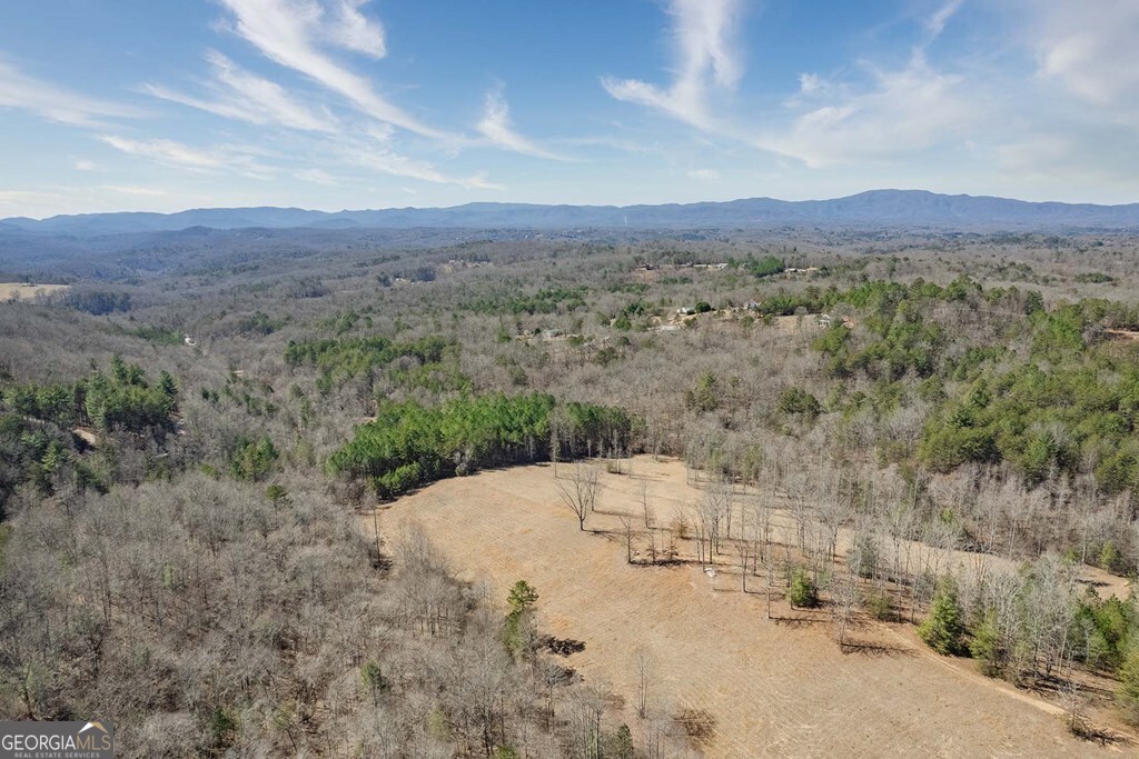 560 Endless View Road Mineral Bluff GA 30559