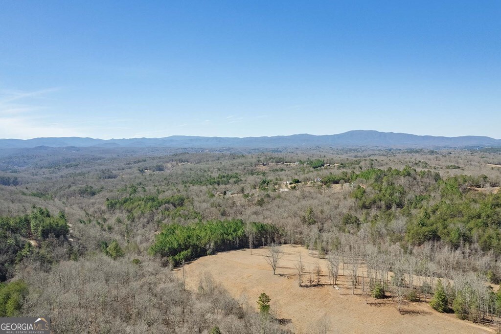560 Endless View Road Mineral Bluff GA 30559
