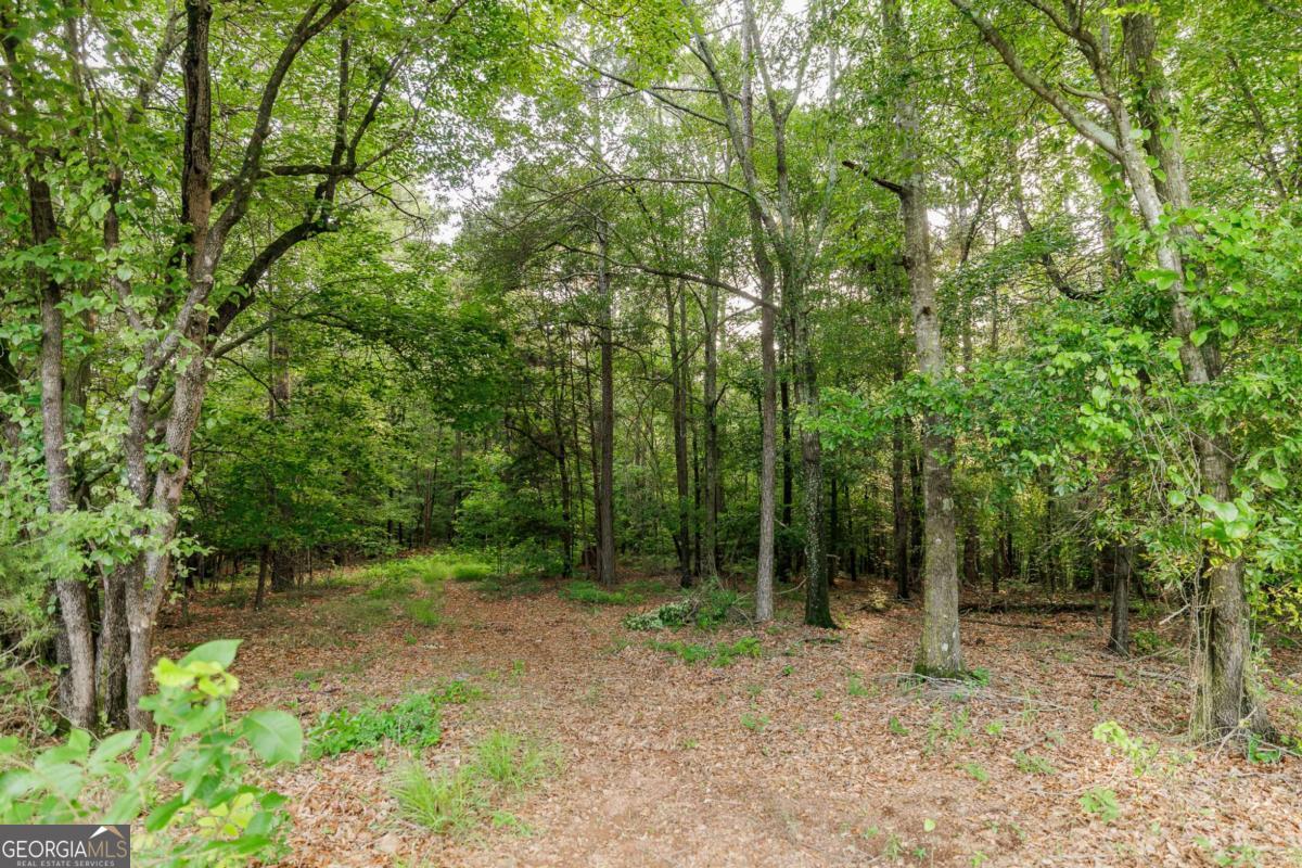 706 Sam Bruce Road Royston GA 30662