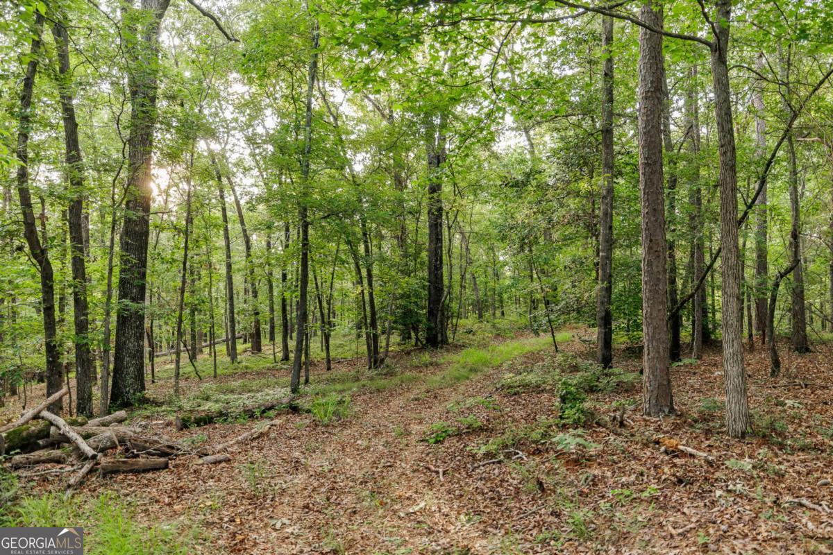 706 Sam Bruce Road Royston GA 30662