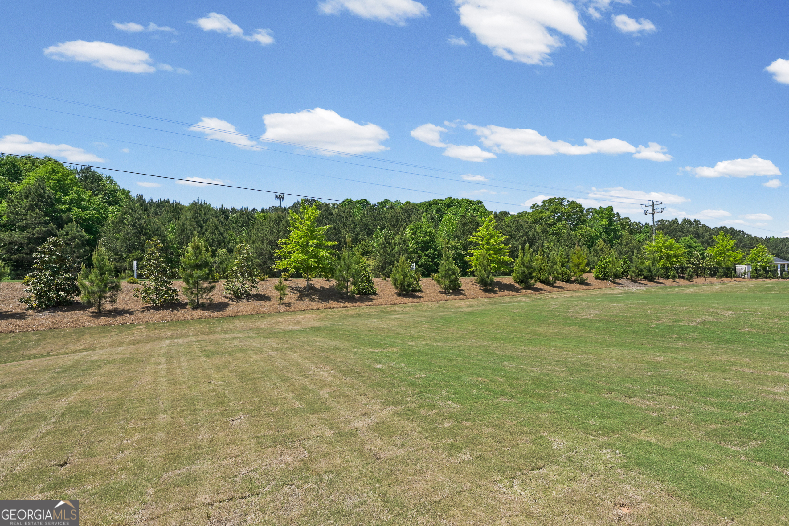 256 Nesta Grove Locust Grove GA 30248