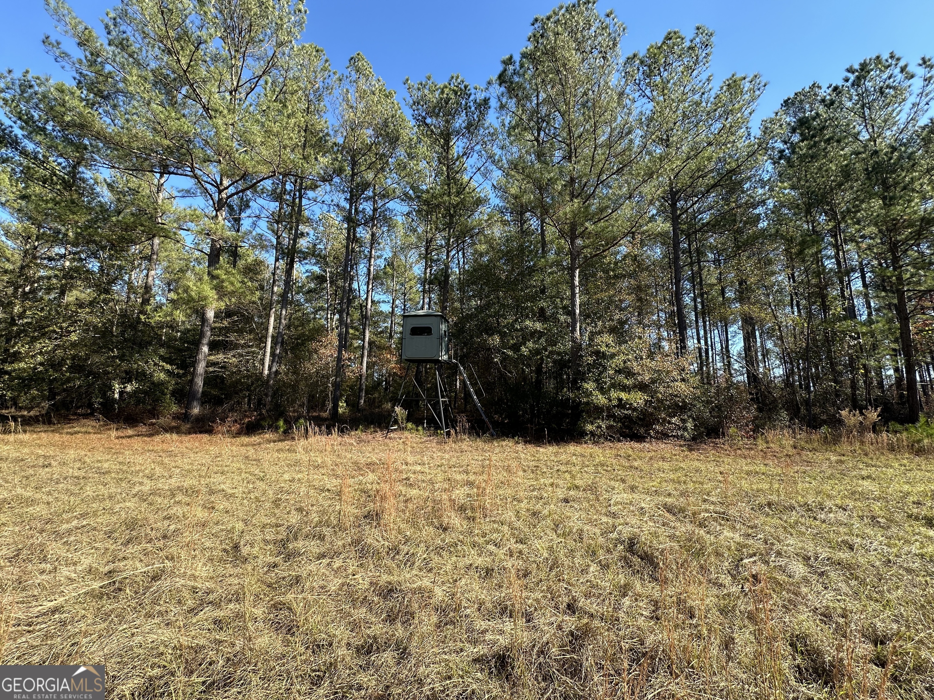 5559 Mill Creek Church Road Mitchell GA 30820