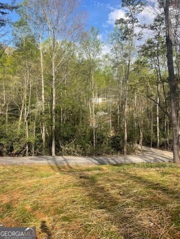 195 Loganberry Lane Hayesville NC 28904