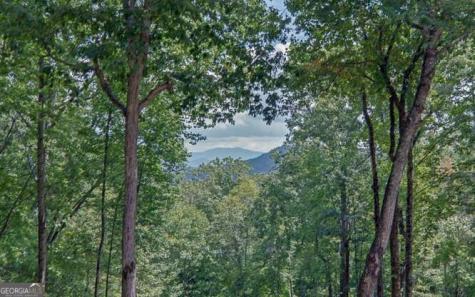 581 Ivy Knob Lane Hayesville NC 28904