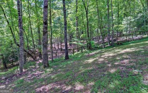 581 Ivy Knob Lane Hayesville NC 28904