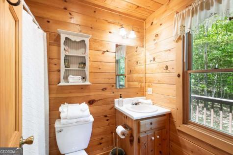 166 Lake Ridge Drive Blue Ridge GA 30513