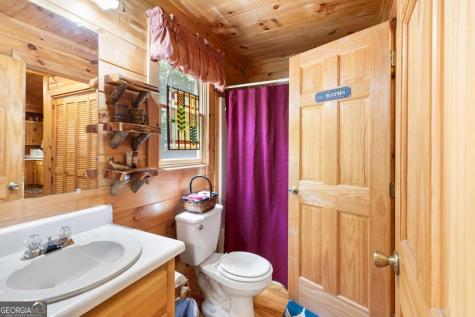 166 Lake Ridge Drive Blue Ridge GA 30513