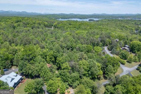 166 Lake Ridge Drive Blue Ridge GA 30513