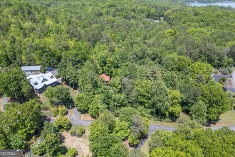 166 Lake Ridge Drive Blue Ridge GA 30513
