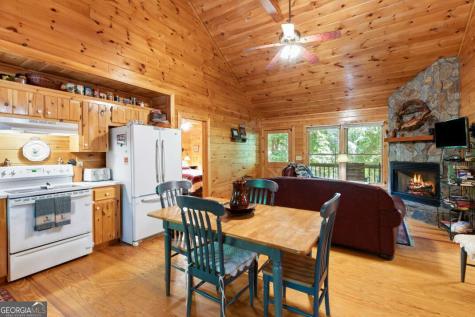 166 Lake Ridge Drive Blue Ridge GA 30513