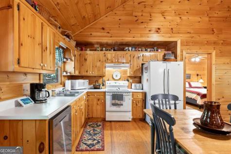 166 Lake Ridge Drive Blue Ridge GA 30513