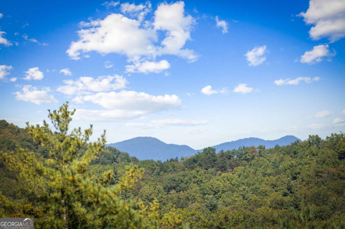 588 Bell Camp Ridge Road Blue Ridge GA 30513