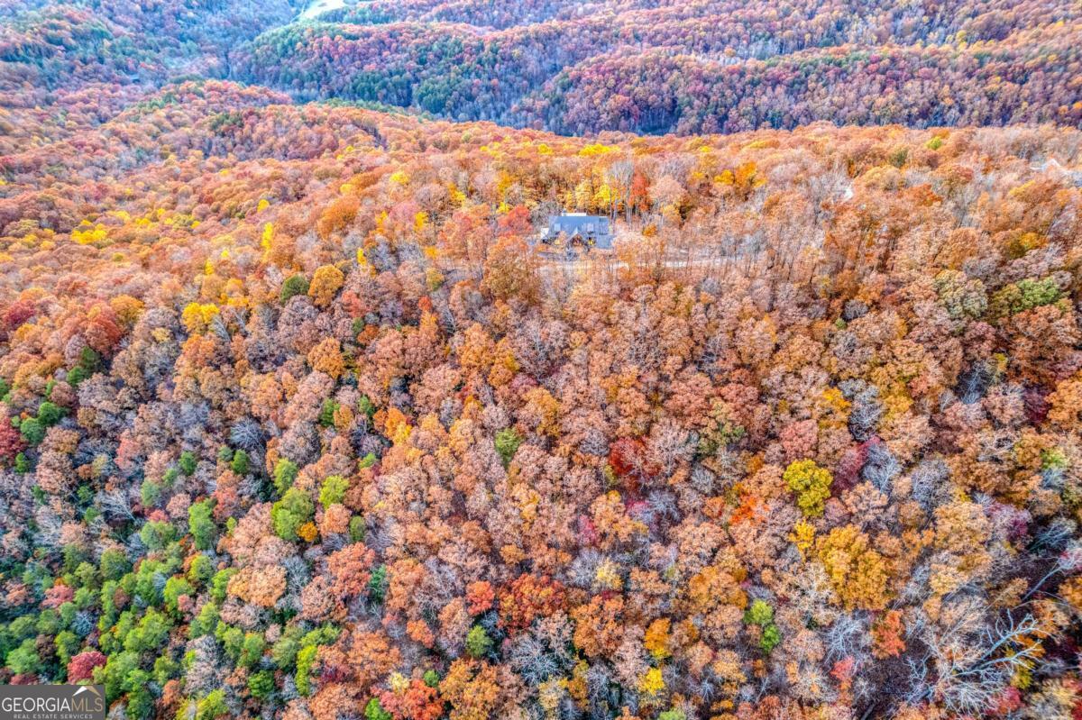 18 Wawayanda Drive Mineral Bluff GA 30559
