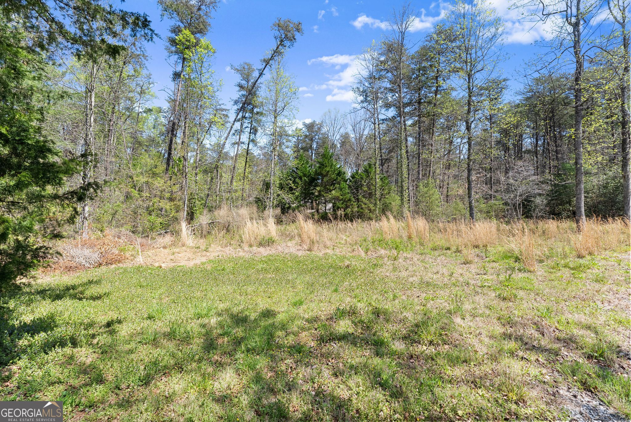 290 Chastain Road Sautee Nacoochee GA 30571