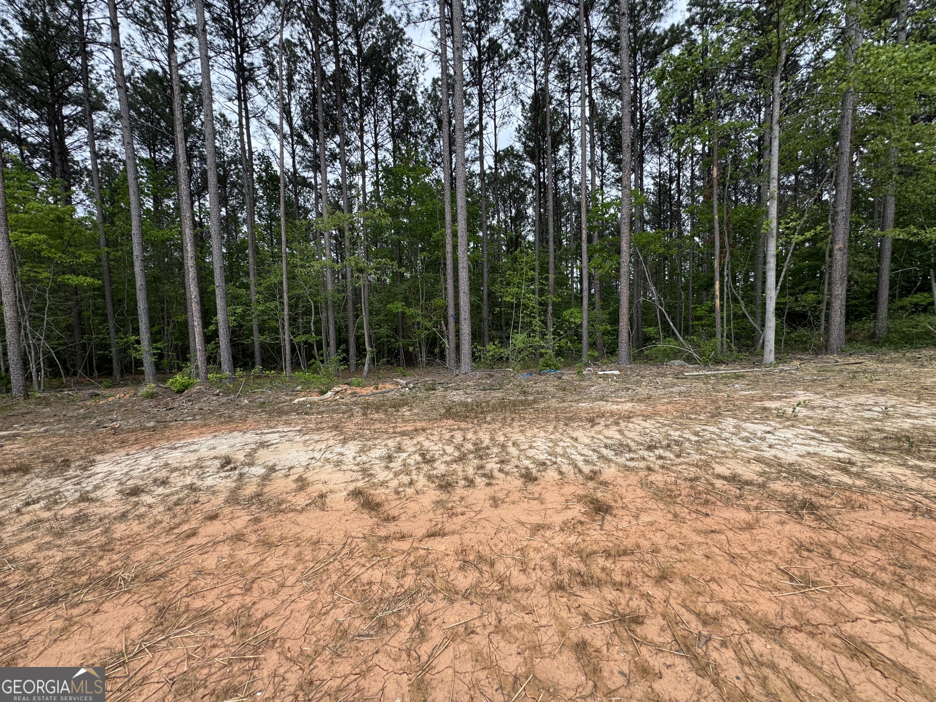 2113 N. Hicks Toccoa GA 30577