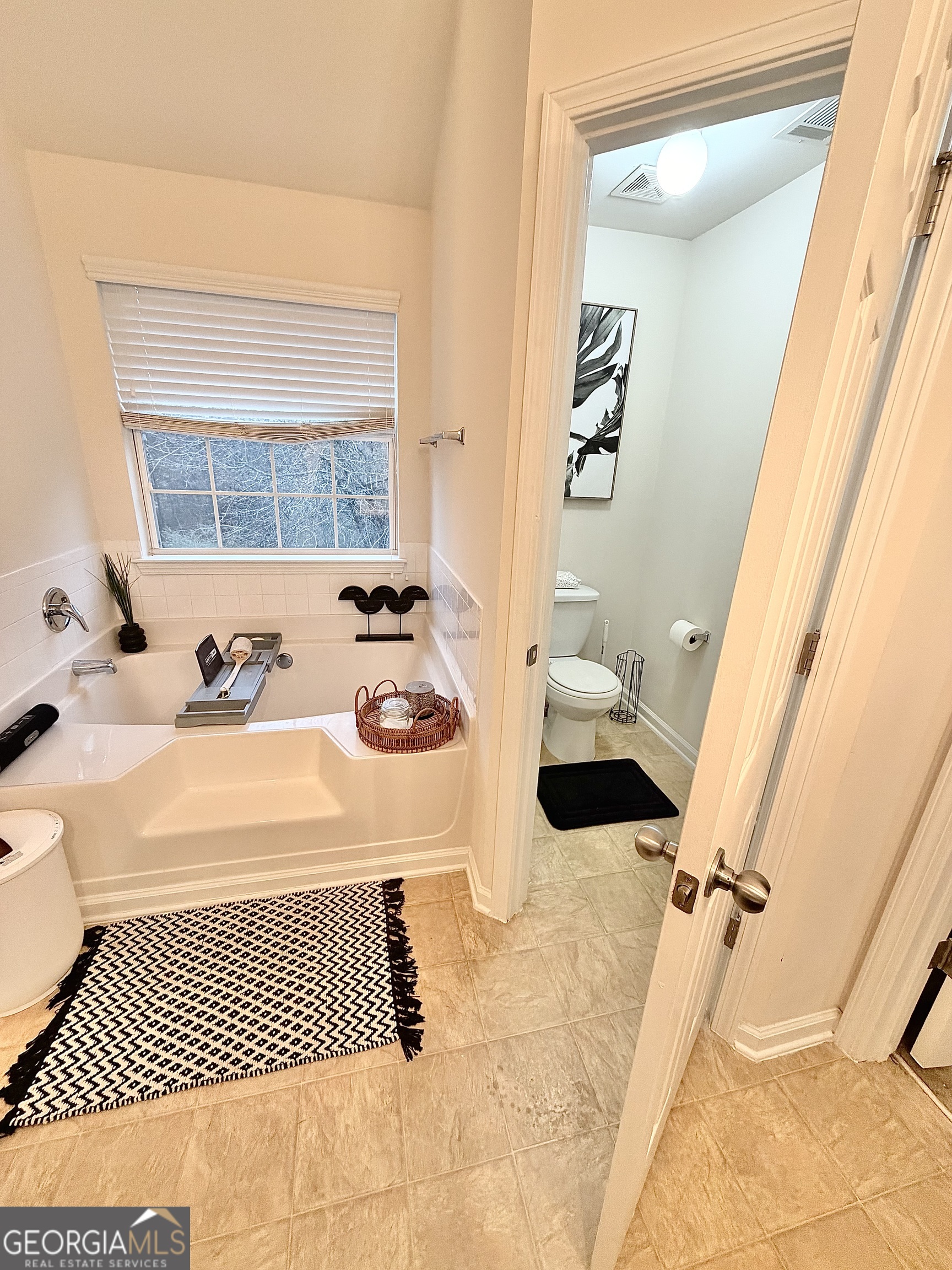 2129 Dartmouth Court Mcdonough GA 30253