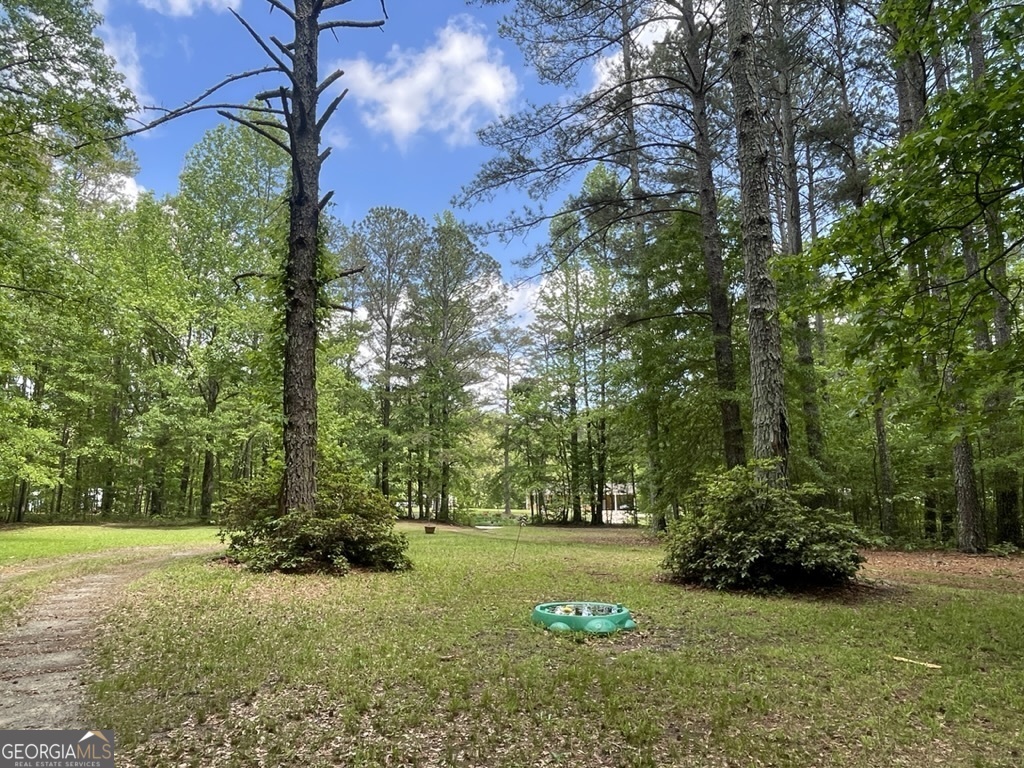 1851 Mcnutt Creek Road Bogart GA 30622